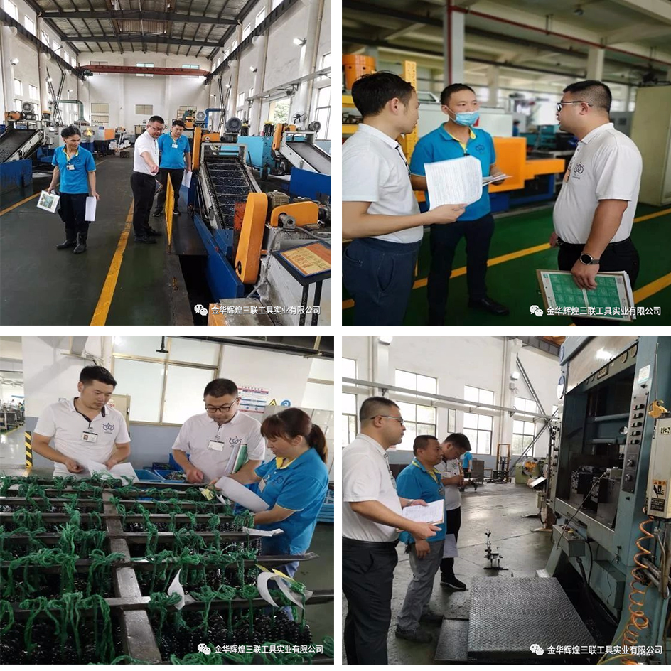 Inspe&ccedil;&atilde;o no local