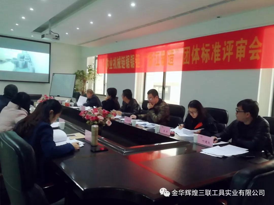 Reuni&atilde;o de revis&atilde;o padr&atilde;o do Saw Chain Group